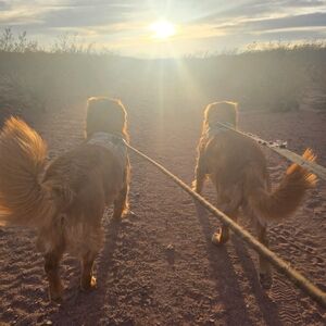 Meet your Posher, Cesaria